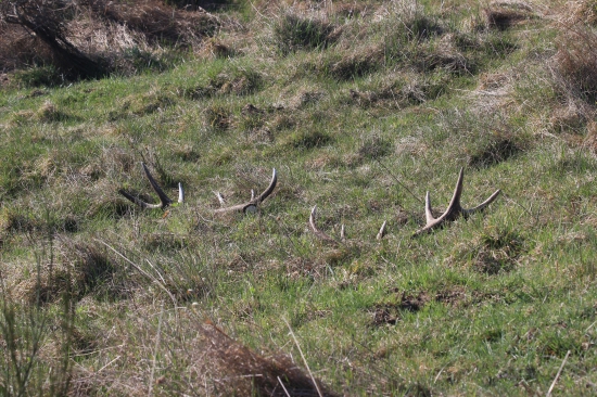kdyby je takto shazovali všichni :)