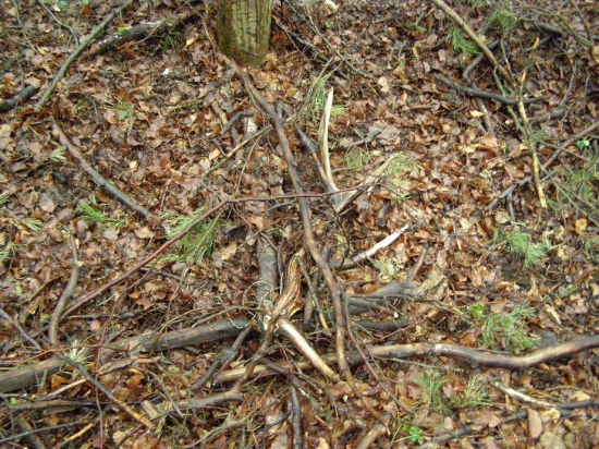 další medailový dohledán