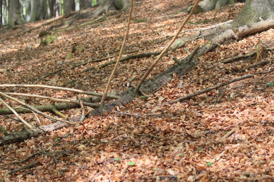 pečeť ho prozradila