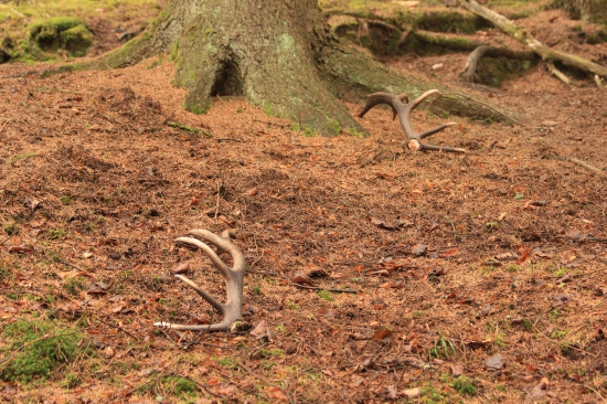 dobře odložený pár