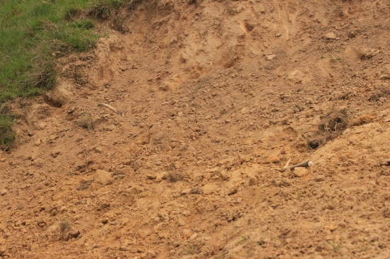 2 špičáci najednou