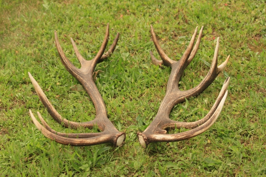 konečně opět spolu