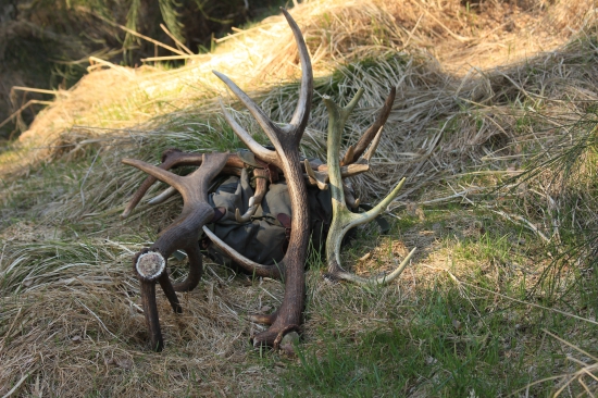 Dnes 4 čerstvé a 1 starý, slušný výsledek
