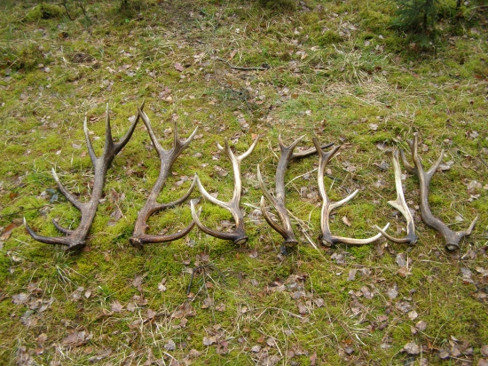 velikonoční pondělí