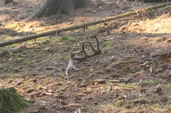 a další do sbírky