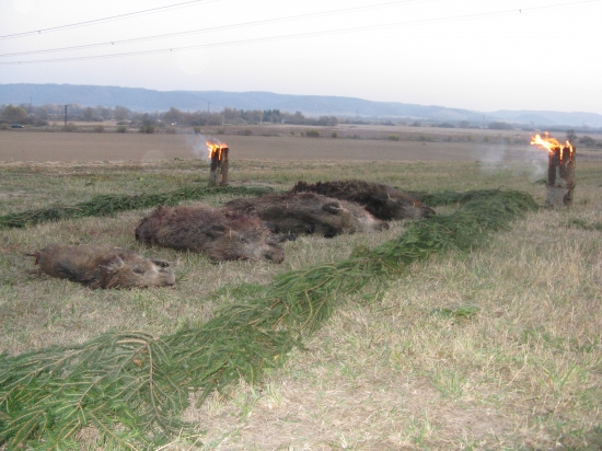 Spoločná poľovačka 2011