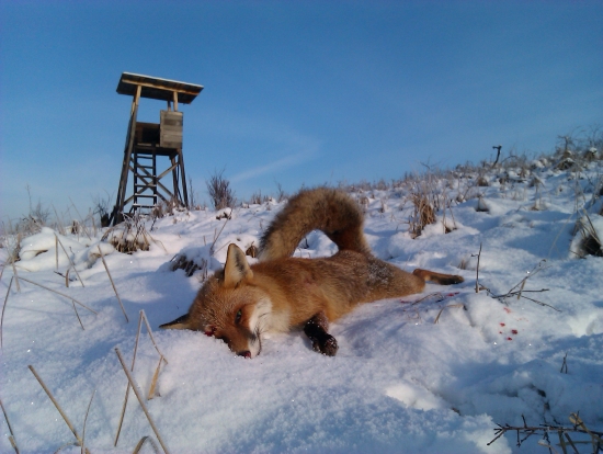 Nech už trochu nasneží