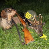 Můj srneček 2010