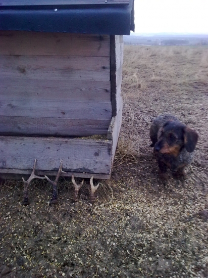 Odměna u zásobníku