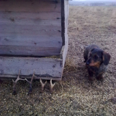 Odměna u zásobníku