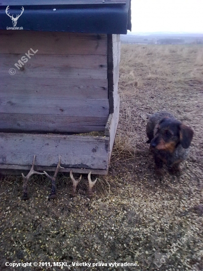Odměna u zásobníku