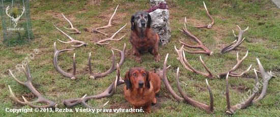 Po sezóne