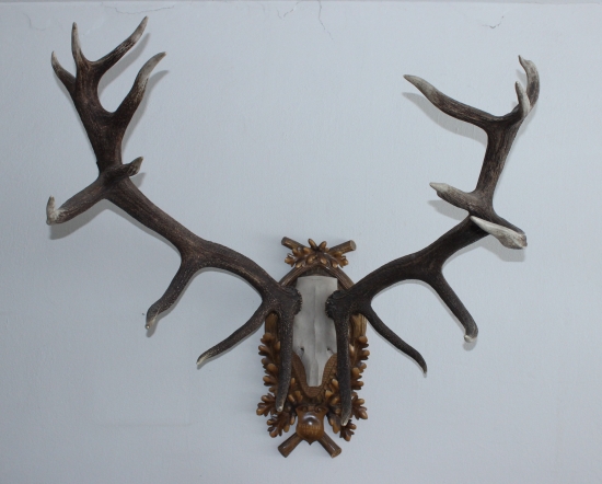 Zašlé časy slávy zvernice Biela Skala