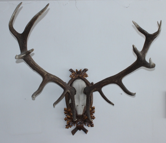 Zašlé časy slávy zvernice Biela Skala.