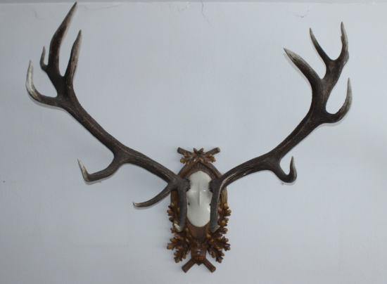 .Zašlé časy slávy zvernice Biela Skala