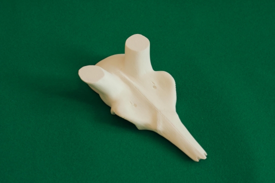 Lebka pod danielie zhody