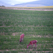 odpočinok na posede :)