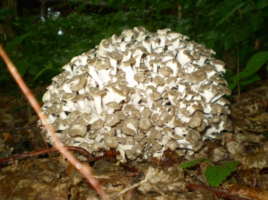 aj keď som poriadne zmokol, no stálo to zato :)