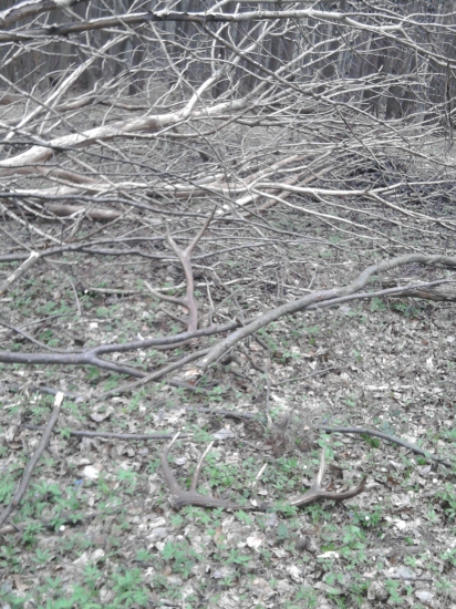 na  nieco take  sa nezabuda