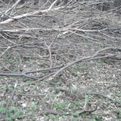 na  nieco take  sa nezabuda