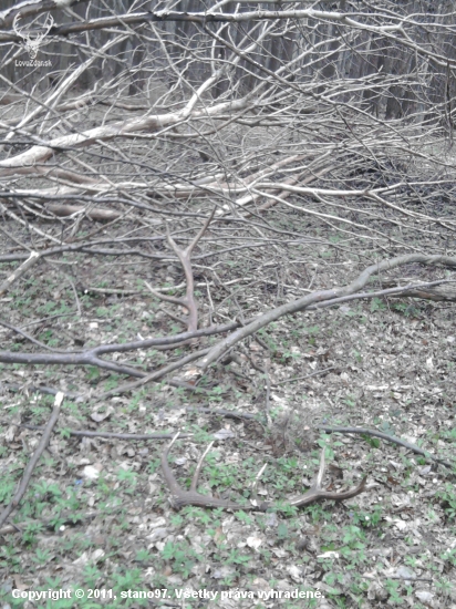 na  nieco take  sa nezabuda