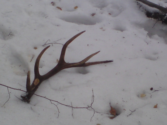 škoda že z minuleho roku