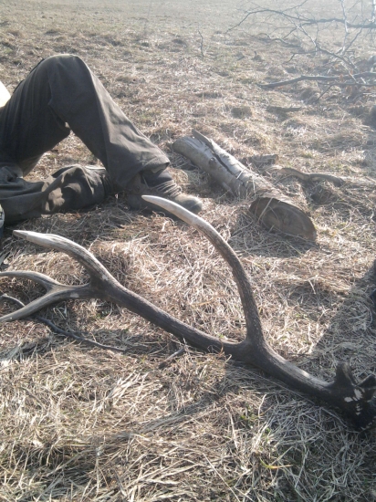 škoda že z minuleho roku