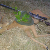 Zpatečnik z Lyse Hory