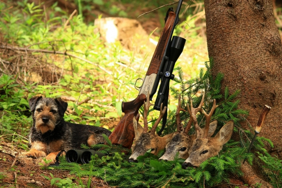 Uspěšny Lov třech Kamaradu