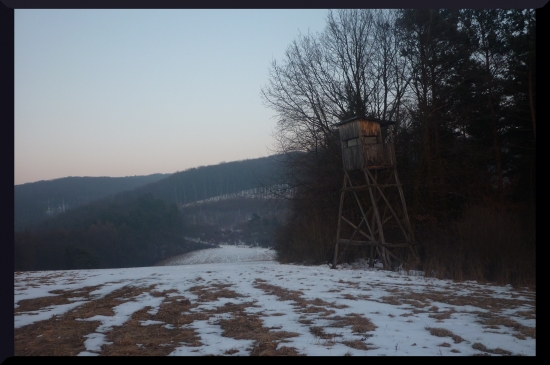 Vyhľadňa