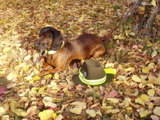 Betty,Jelenia Obora Orava