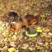 Betty,Jelenia Obora Orava