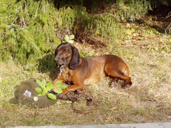 Betty,Jelenia Obora Orava