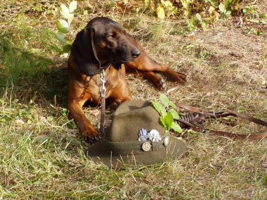 Betty,Jelenia Obora Orava
