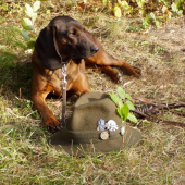 Betty,Jelenia Obora Orava