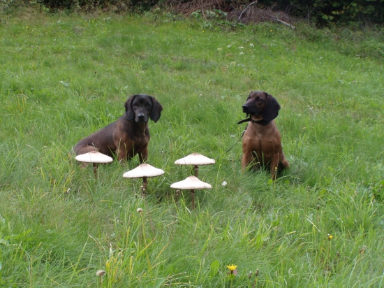 Aida,Betty Jelenia Obora Orava