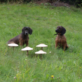 Aida,Betty Jelenia Obora Orava