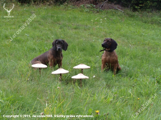 Aida,Betty Jelenia Obora Orava