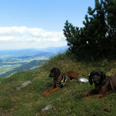 Jelenia Obora Orava