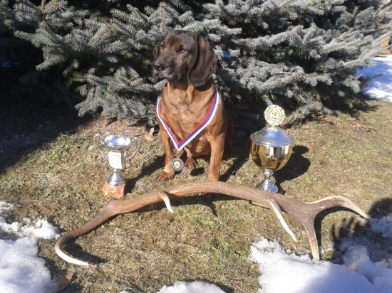 Betty Jelenia Obora Orava