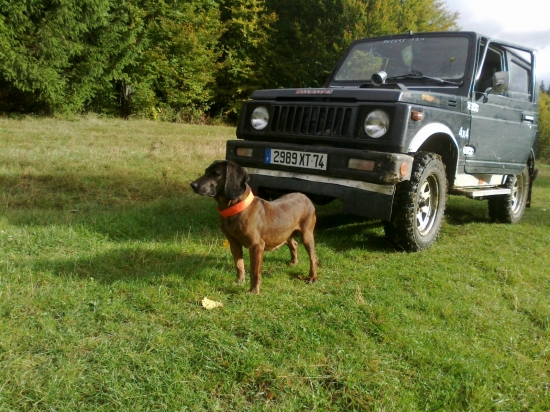 Betty Jelenia Obora Orava