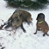 Jelenia Obora Orava