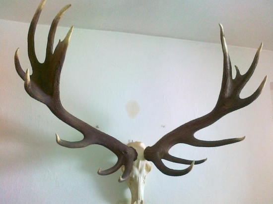 zhody na lebke, každý 5 kg