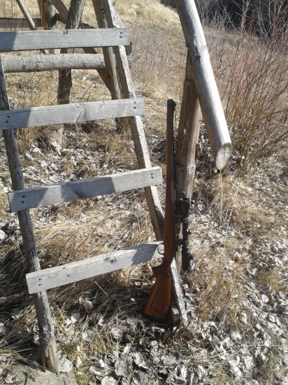 Moja prva CZ 550 spr.30-06