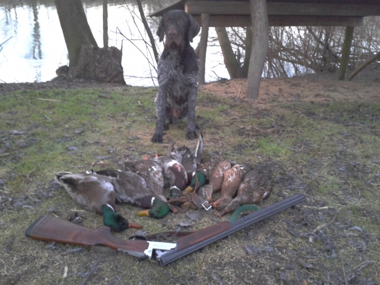 Mali sme dobru´mušku