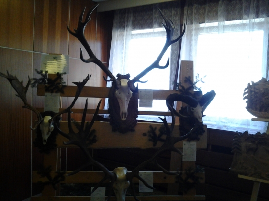 polovnicka vystava-Pliešovce