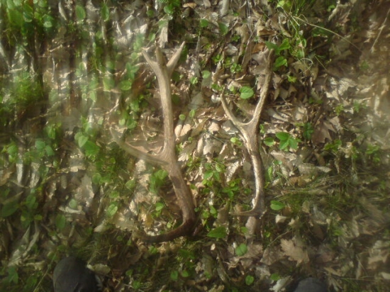 konečne sa zadarilo