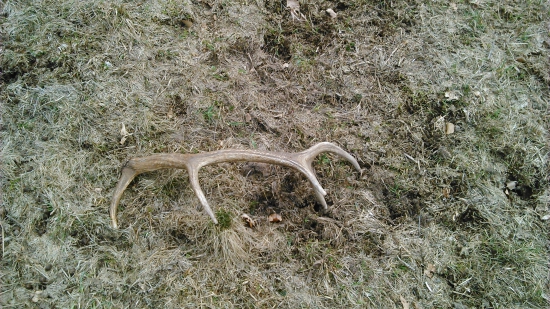 konecne sa aj na mna obratilo stastie :)