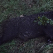 Bol mi dopriaty môj prvý :)