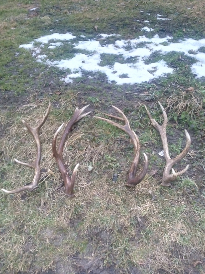 Zadarilo sa na jednom mieste :)